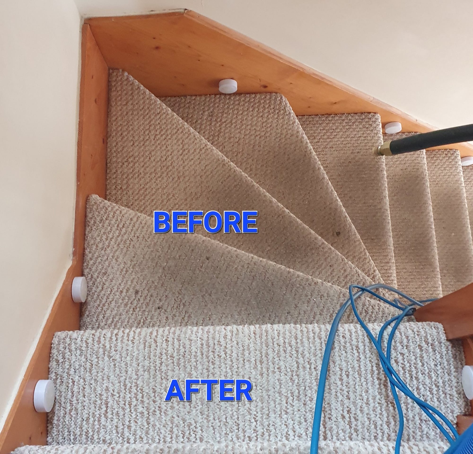 Carpet & Upholstery Cleaning