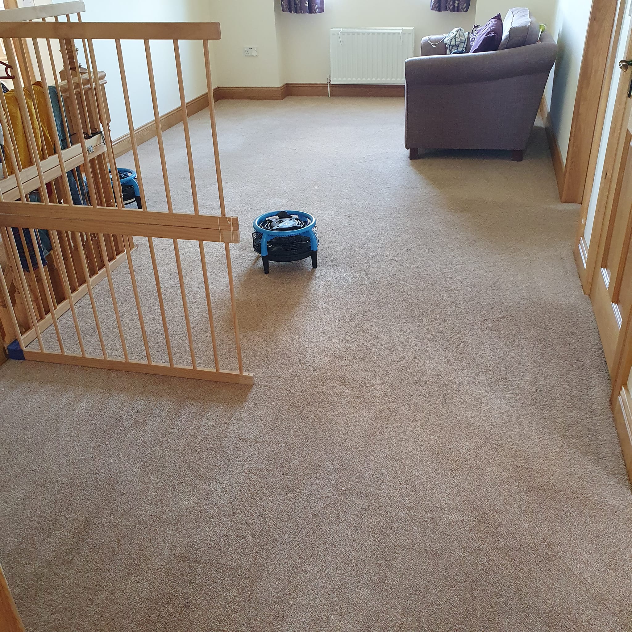 Carpet & Upholstery Cleaning