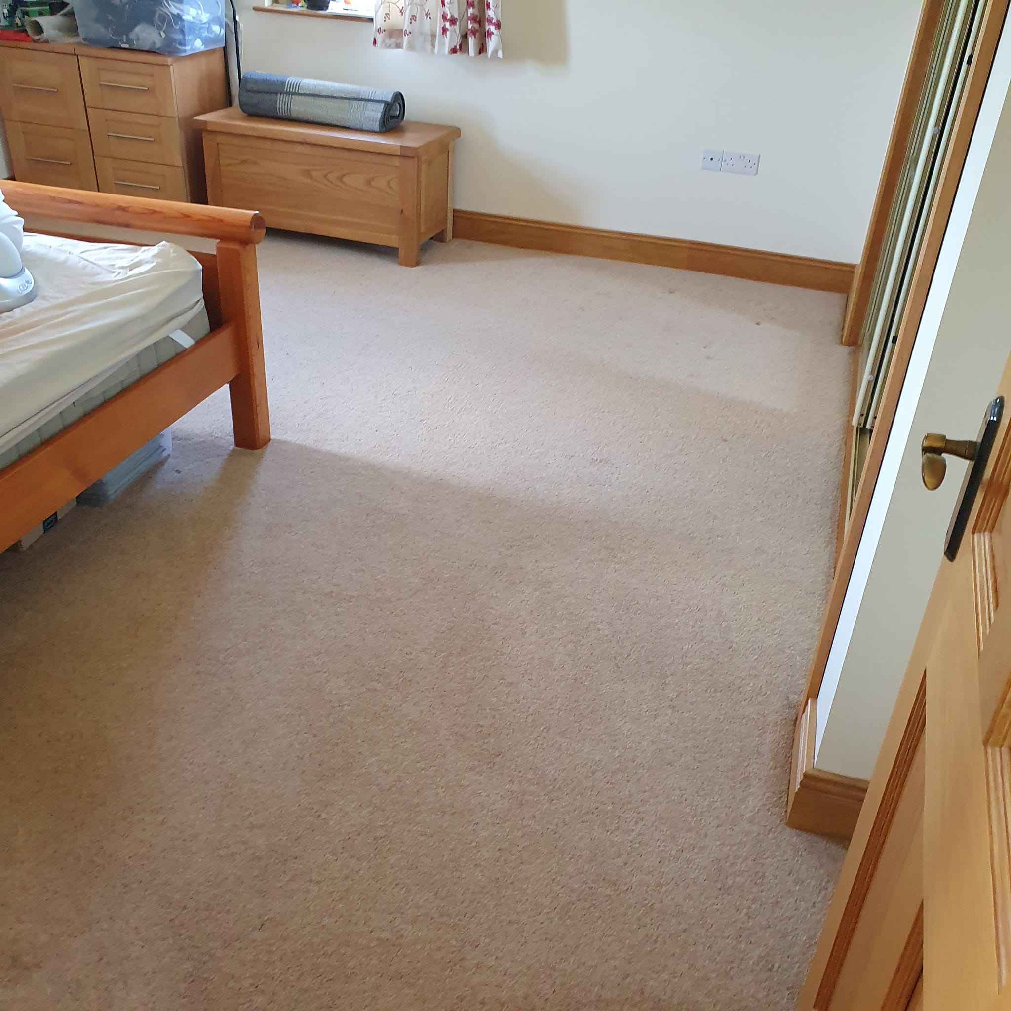 Carpet & Upholstery Cleaning